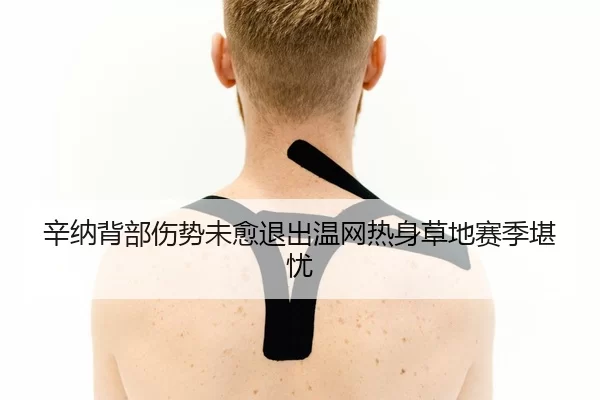 辛纳背部伤势未愈退出温网热身草地赛季堪忧
