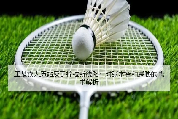 王楚钦太原站反手拧拉新线路：对张本智和威胁的战术解析